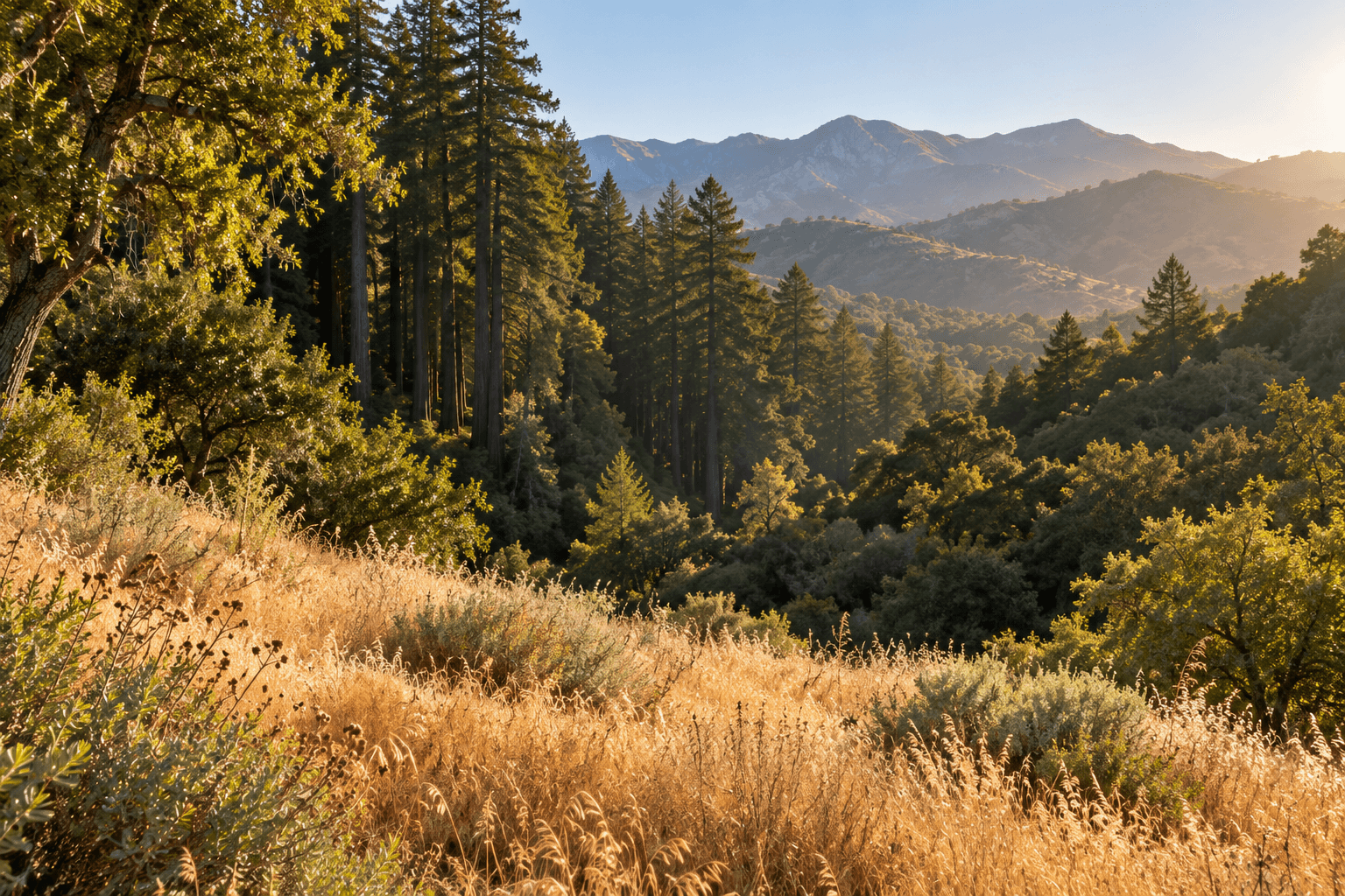 Santa Barbara Botanic Garden: Two Habitats, One Unhurried Walk